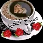 أستغفر الله
الذي لا إله
إلا هو الحي
القيوم وأتوب إليه