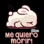 🎀🐰Andy, Conejo🐰🎀 2