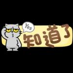 貓爪抓 -小小的你問我答抓-