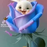 стикеры