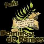 domingo de ramos