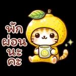 ฉลอง กันจ้า