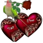 صباح الورد