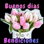 Buenos Dias
