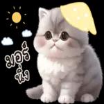 ง่วงแล้ว