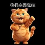 可愛的橘色肥貓!