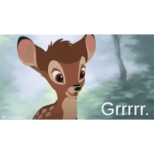 CSyQsj