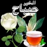 هل يمكن ان نلتقي لاحقا؟