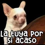 La tuya por si acaso