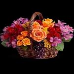 roses for you😘😘😘