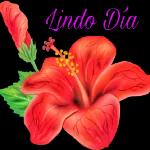 Boa noite
