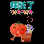 大貼圖 可愛蕃茄 實用語貼