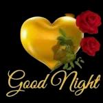 Sleep
Well