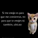 tiernos 