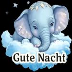 Der Elefant