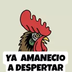 Buenas Noches