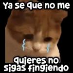 ¿PORQUE ERES ASI?