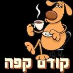 יאיר רומר כאור החמה