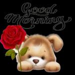 have an awesome day