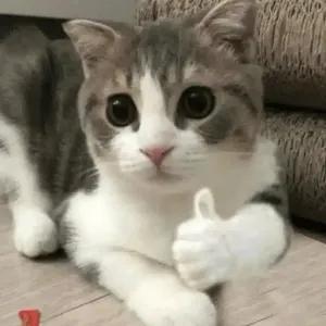 eUyko2