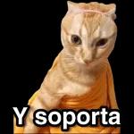 Tienes un mensaje sin leer