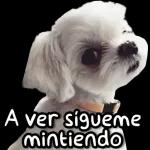 Stickers de perrito