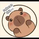 mis capibaras