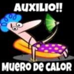 AUXILIO!! MUERO DE CALOR