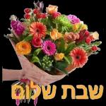 שבת שלום