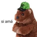 monos lokos