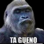 México