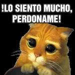 NO ME PIENSAS HABLAR