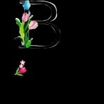 jy kan nie dit doen nie