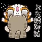 白爛貓11☆超級萌☆