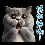起肖貓貓★台語卡唬爛!