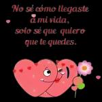 Tus Bescos 31 Quiero..