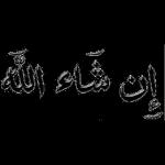 2e5ed49d18f7bd589086510a31bc9a25