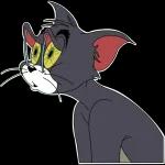 Tom and Jerry
                            Liza Fomushkina