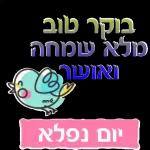 בוקר טוב