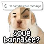 chistoso