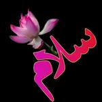 الحمدالله على كل حال