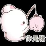 小动物们集合啦！！！