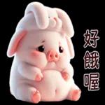 Piggy Rabbit so Cute