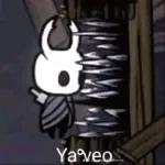 hollow knight 