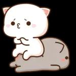 Mochi Peach Cat 2
                    
Mochi Peach Cat