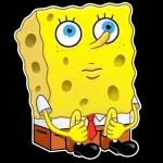 Square Pants
                            Dima HLCLL