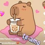 Capibara Voladorrrrrrr