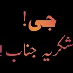 اپنی حد سے آگے مت بڑھو