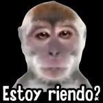 Estoy riendo?