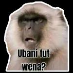 НАНАНАНА!!! 0488